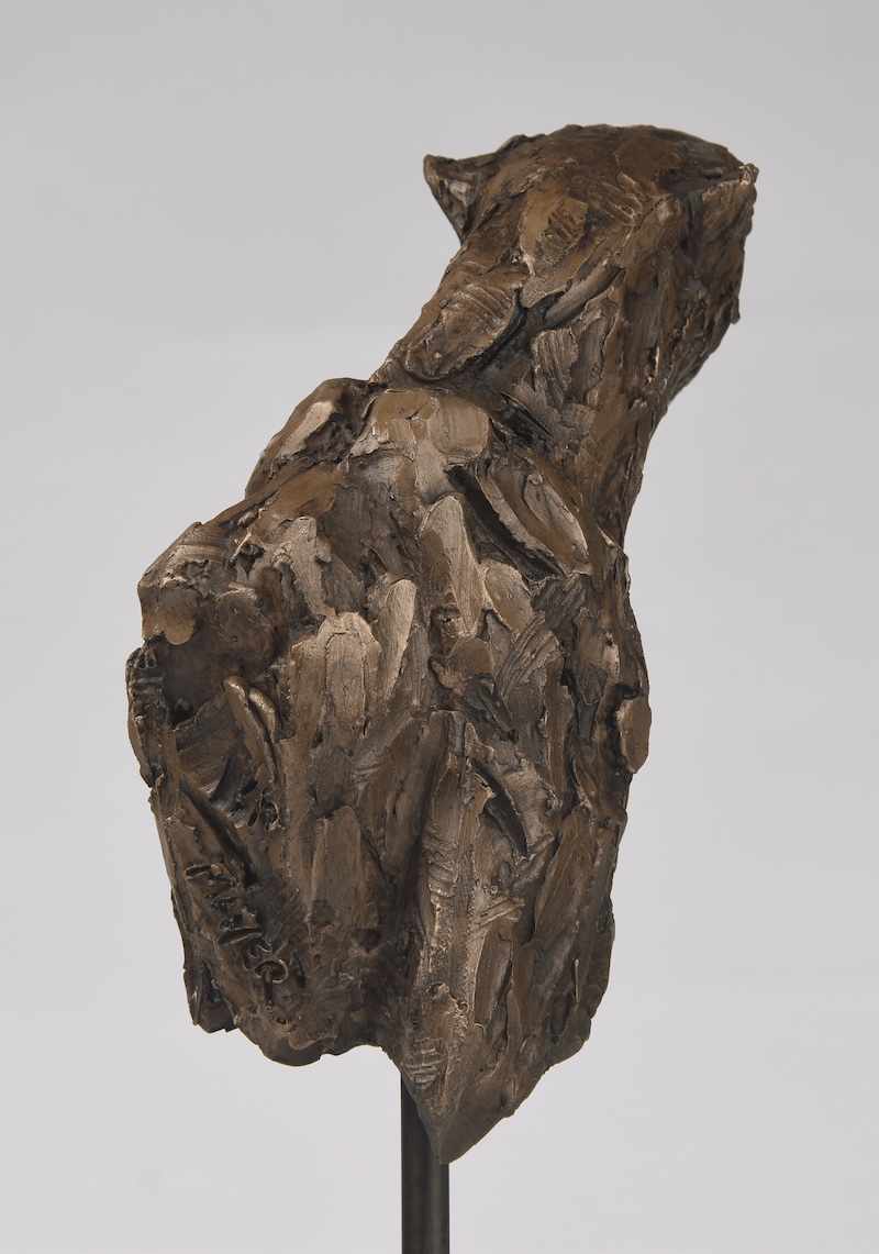 Cheetah Torso II