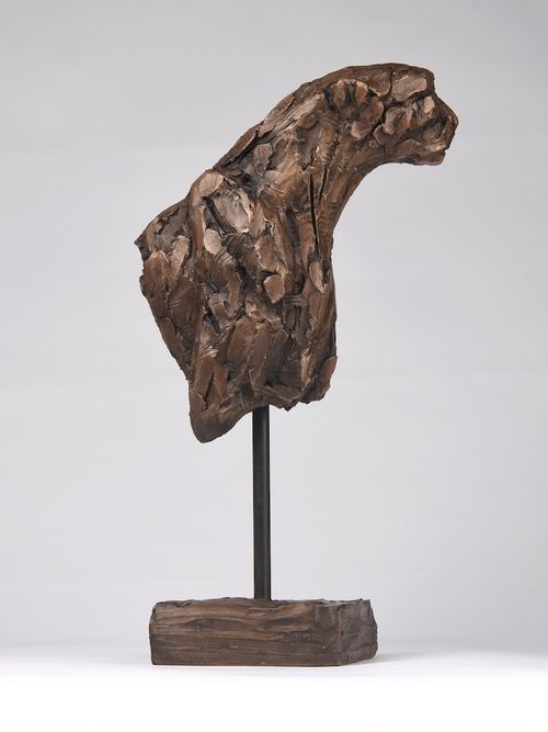 Cheetah Torso II