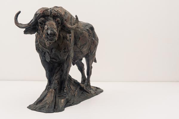 African Buffalo bronze sculpture