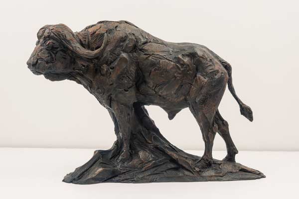 African Buffalo bronze sculpture