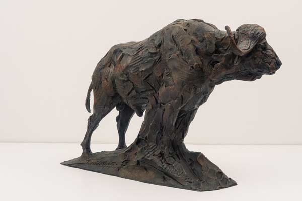 African Buffalo bronze sculpture