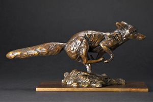Bronze Fox running