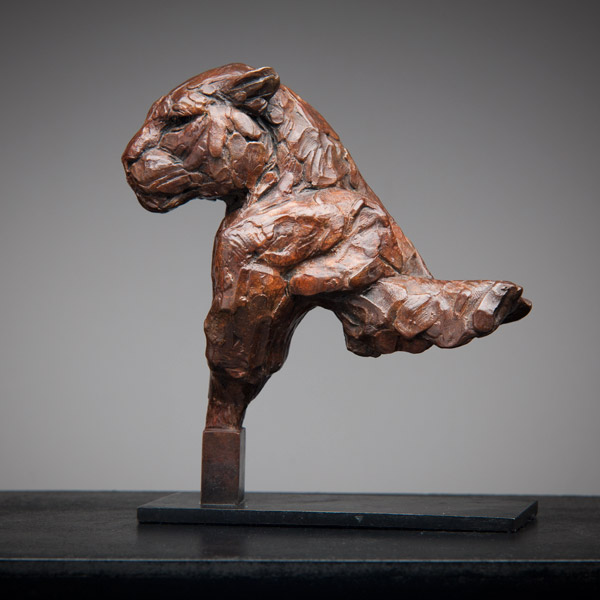 Bronze Leopard bsut