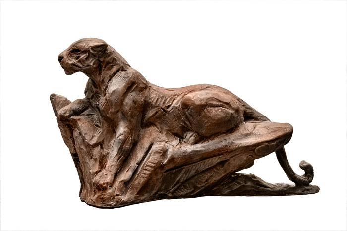 Bronze Leopard reclinging sculpture